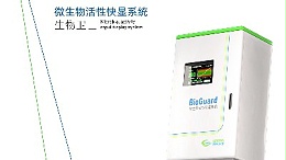 好氧池红线虫爆发：成因、影响与系统化解决方案