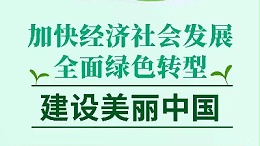谋篇布局“十五五”丨读懂中国全面绿色转型决心