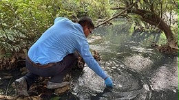 聚焦海外环保治理，专业方案助力企业合规生产