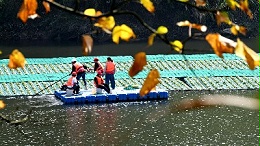 湿地丨生态浮岛净化水质保民生
