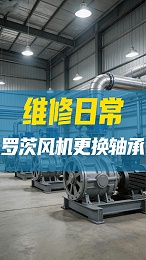 罗茨鼓风机更换轴承