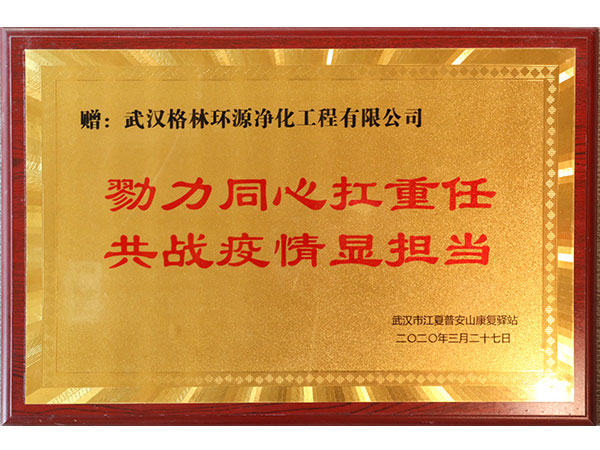 江夏普安山康复驿站颁发“勠力同心扛重任，共战疫情显担当”奖牌
