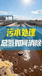 污水处理-总氮如何去除