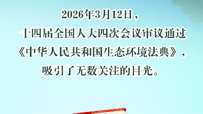 <i style='color:red'>生态环境</i>法典为何要给绿色低碳发展单独设一编？