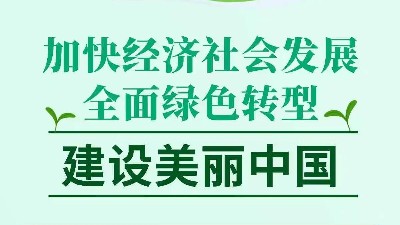 谋篇布局“十五五”丨读懂中国全面绿色转型决心