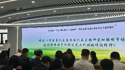 降碳减污
