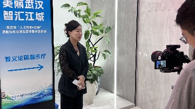 格林入选武汉市“人工智能+数据”创新成果，亮相市级路演