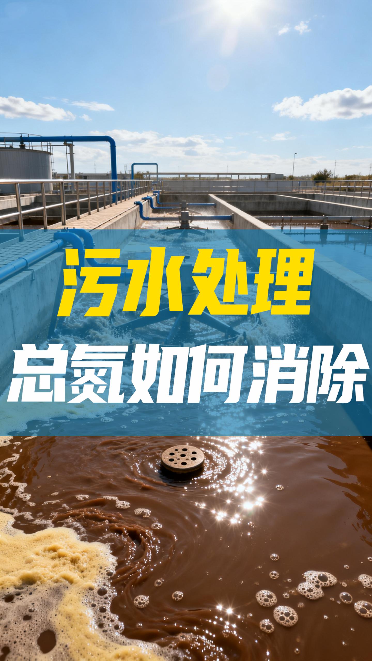 污水处理-总氮如何去除