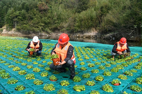 生态浮岛