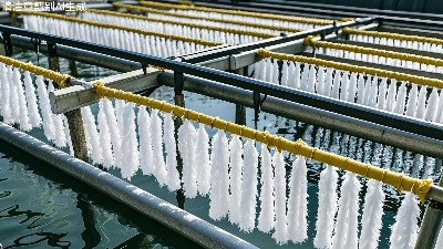 接触氧化法全周期运维注意事项