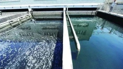 高浓度含盐废水的处理方法