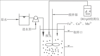 <i style='color:red'>硝化细菌</i>的培养注意事项