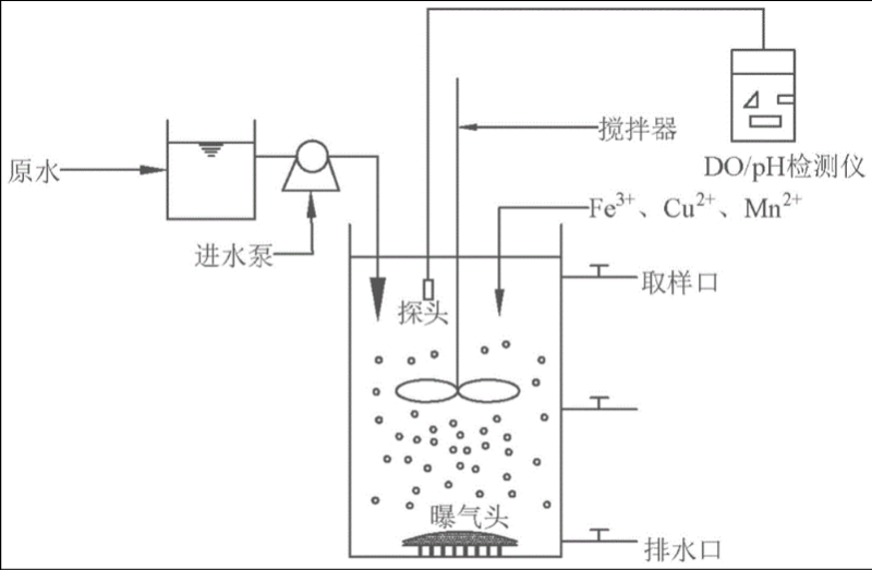 硝化细菌的培养