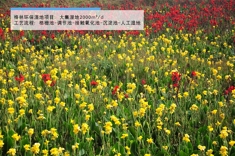 湿地1