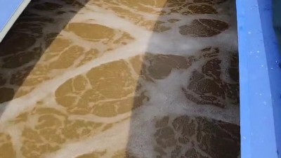 乳制品生产加工废水的特点