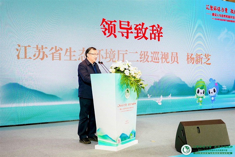 杨