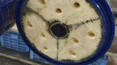中空超滤膜的常见清洗方法