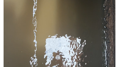 缺氧池中有机氮能直接转化为氮气？